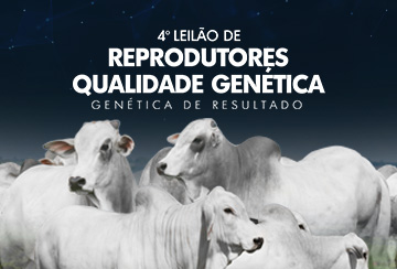 4º LEILÃO REPRODUTORES QUALIDADE GENÉTICA